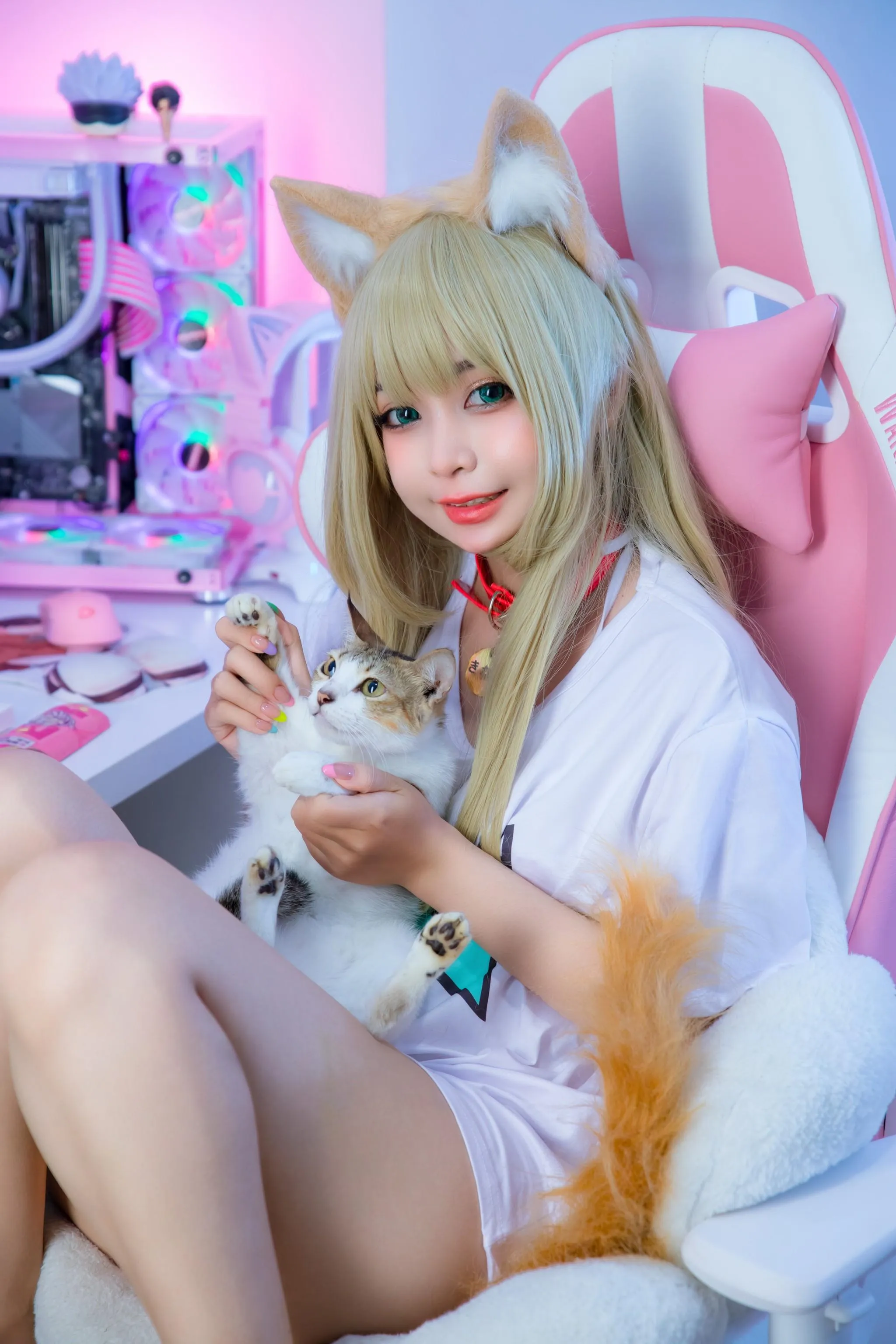 UmekoJ – NO.048 Kinako Neko [COMPLETE SET]-Kinako HD [71P]插图3